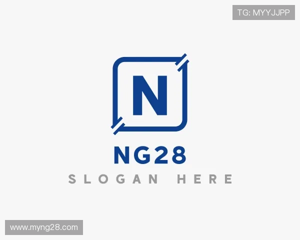 认识ng28团队
